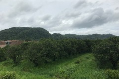 IMG_3006