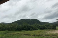 IMG_3009