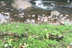 0A7A0734-DF37-4C84-BD19-BACF7A48DB39